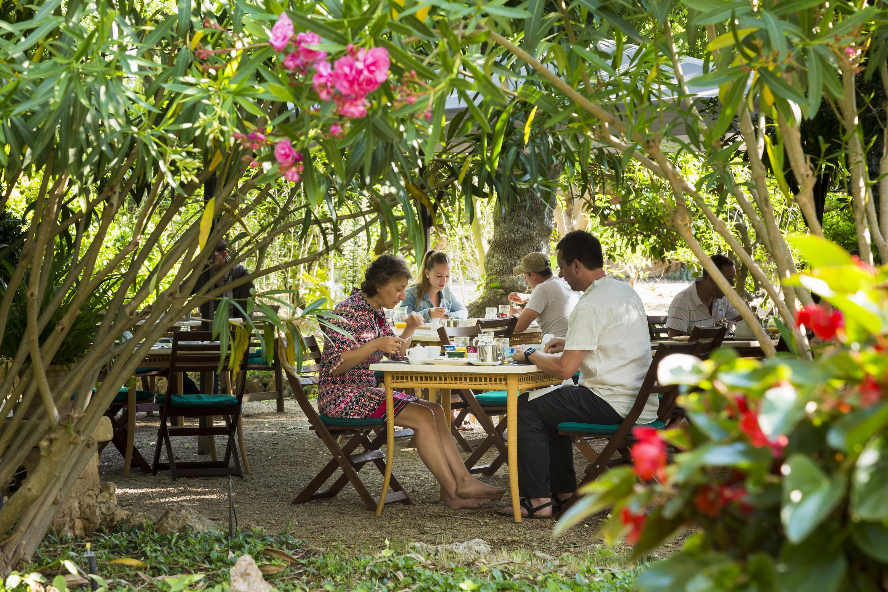 Agroturisme Sa Torre (Adults Only) Santa Eugenia Εξωτερικό φωτογραφία