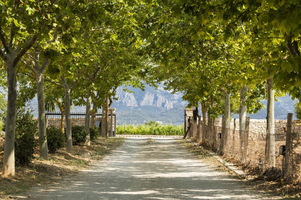 Agroturisme Sa Torre (Adults Only) Santa Eugenia Εξωτερικό φωτογραφία